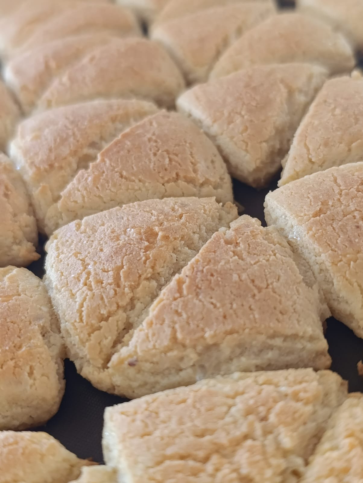 Materos de Queso – Salados y Sabrosos - Image 8