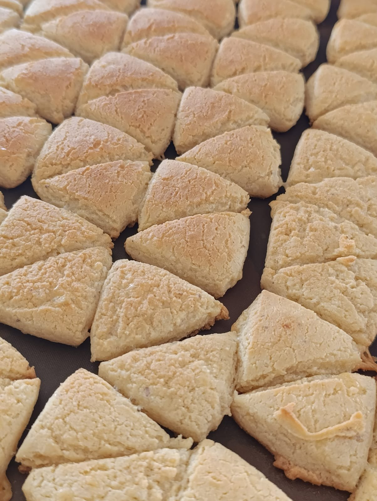 Materos de Queso – Salados y Sabrosos - Image 6