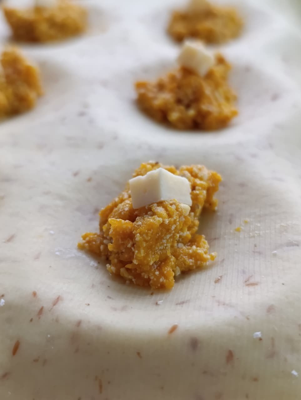 Sorrentinos de Zapallo – Sin Gluten & Artesanales - Image 6